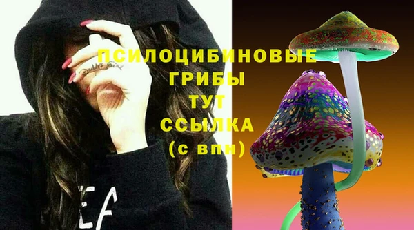 героин Алексин