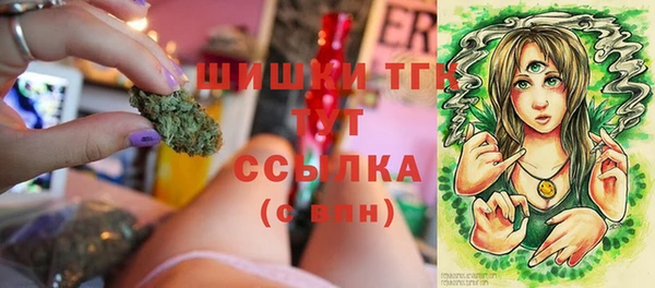 стаф Алексеевка